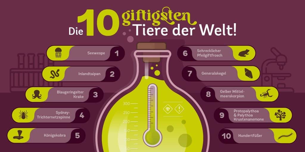 Die 10 giftigsten Tiere der Welt Infografik