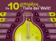 Die 10 giftigsten Tiere der Welt Infografik