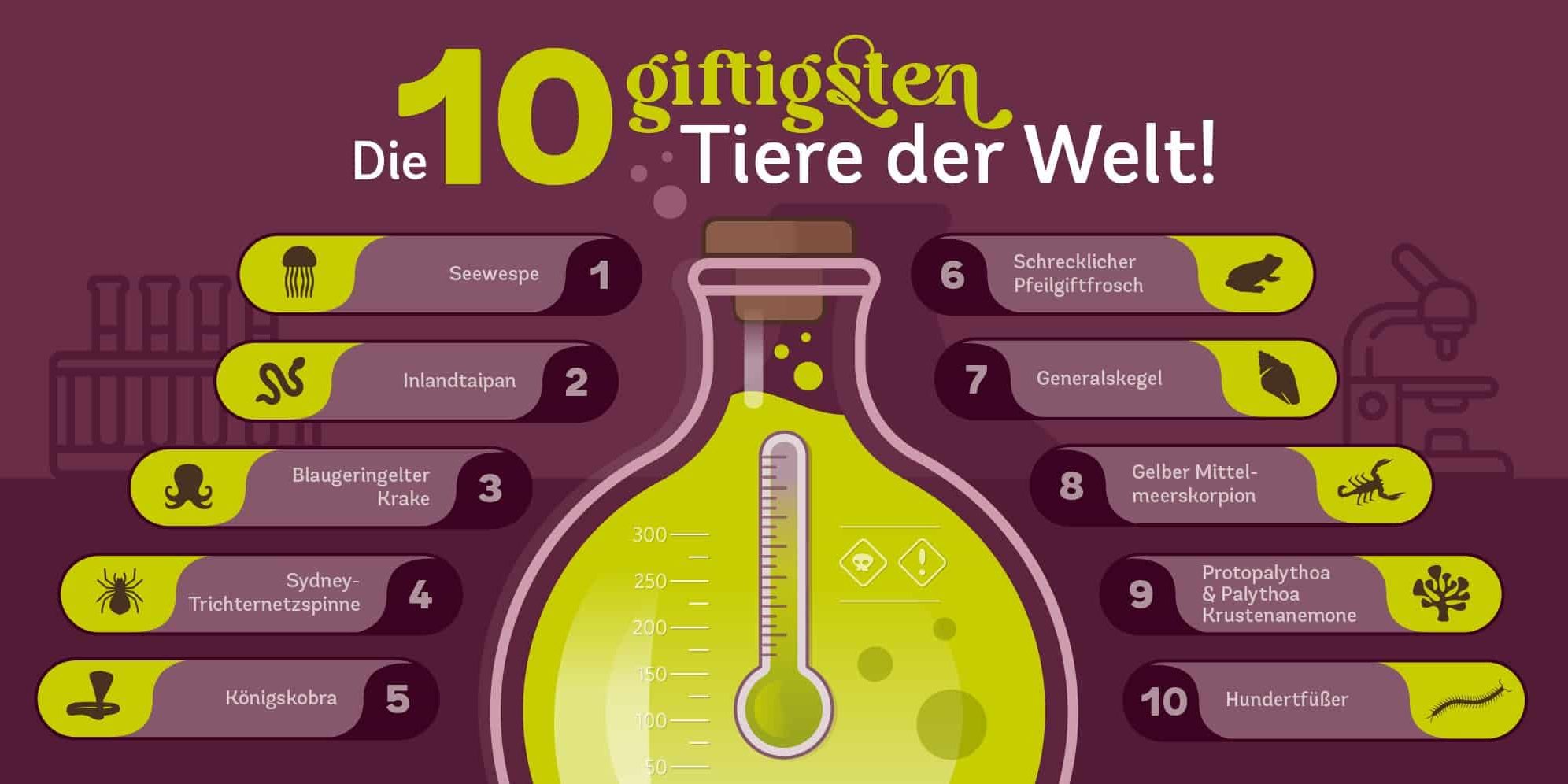 Die 10 giftigsten Tiere der Welt Infografik