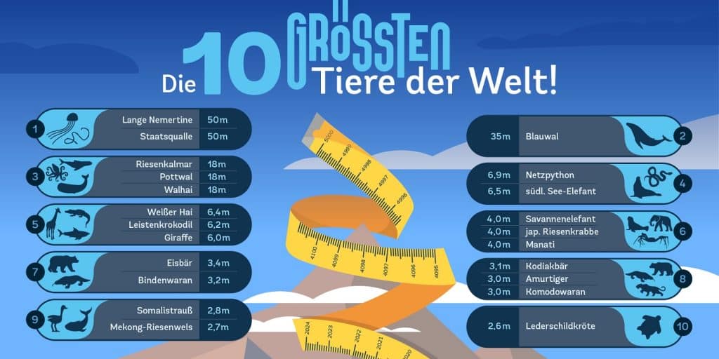 Die 10 größten Tiere der Welt Infografik