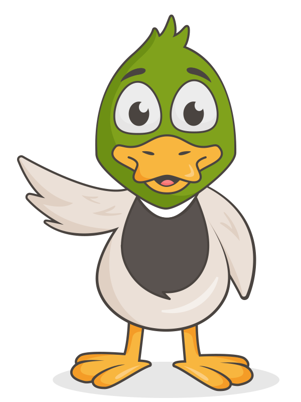 Enten Fun Facts