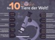 Die 10 kleinsten Tiere der Welt Infografik