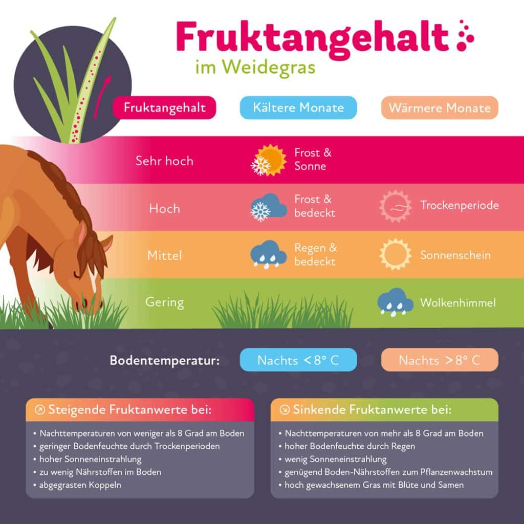 Grafik "Fruktangehalt im Weidegras" Der Fruktangehalt im Weidegras verändert sich mit den Wetterverhältnissen. Hohe Fruktanwerte sind bei Sonne und Frost, bedecktem Himmel mit Frost oder Trockenperioden zu erwarten. Mittlere Werte entstehen bei Regen oder Sonnenschein. Gering ist der Fruktangehalt in wärmeren Monaten bei bedecktem Himmel oder regnerischem Wetter.