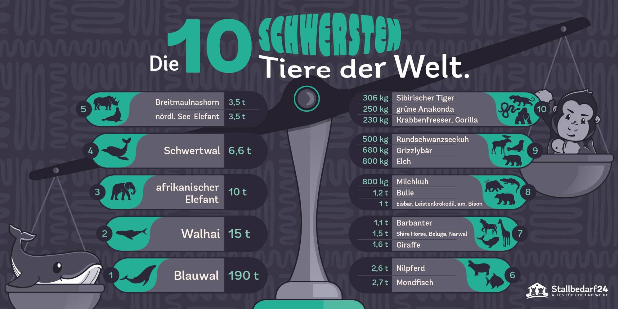 Die 10 schwersten Tiere der Welt Infografik