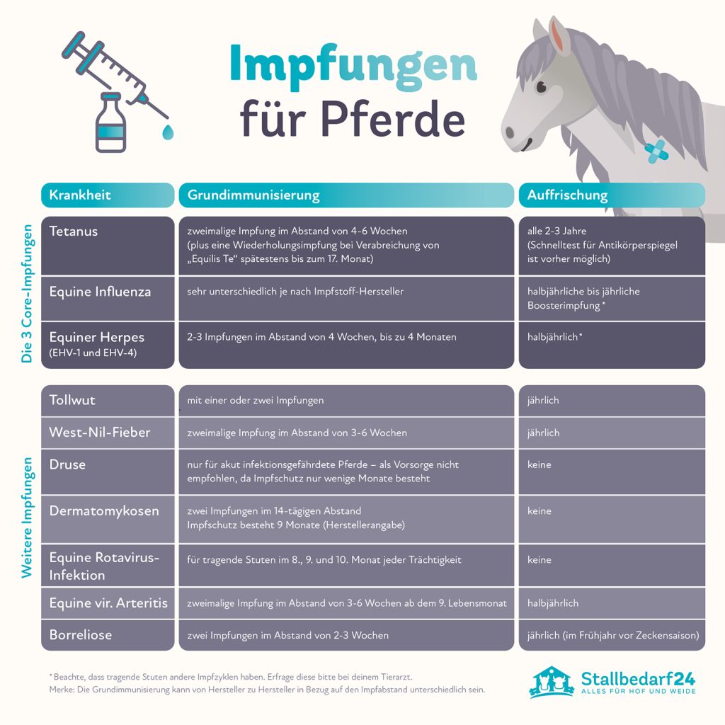 Impfungen bei Pferden Infografik