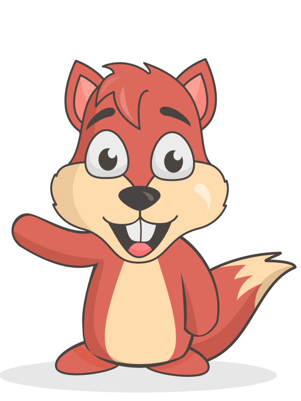 Eichhörnchen Fun Facts