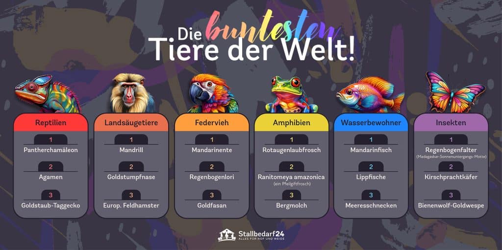 Die buntesten Tiere der Welt Infografik