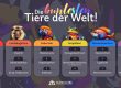 Die buntesten Tiere der Welt Infografik