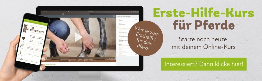 Erste Hilfe Kurs für Pferde Banner - Stallbedarf24
