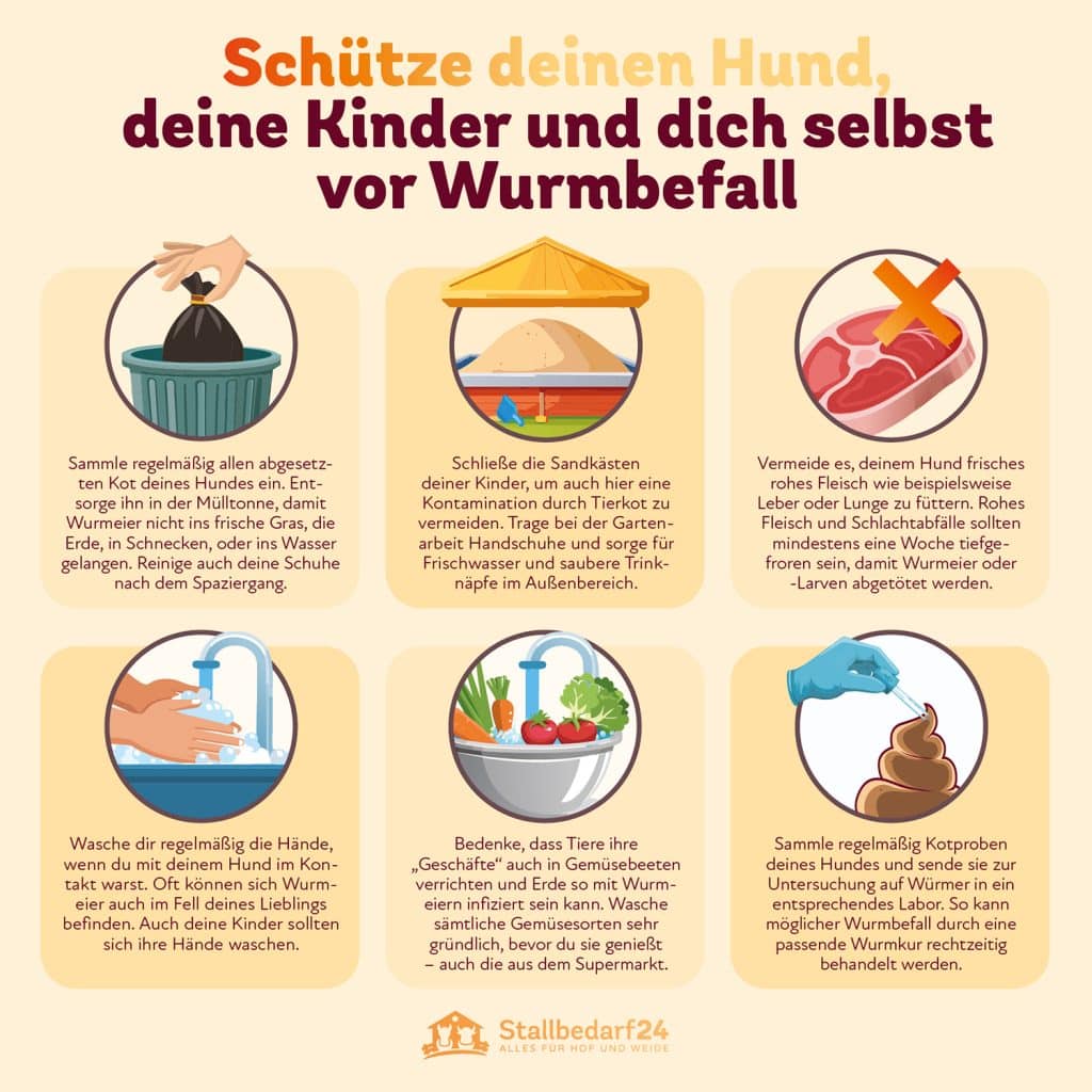 Wurmbefall bei Hunden vorbeugen Maßnahmen