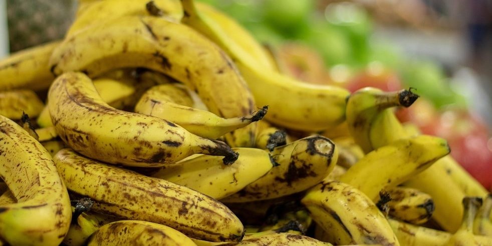 Dürfen Pferde Bananen essen?