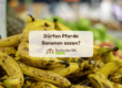 Dürfen Pferde Bananen essen?