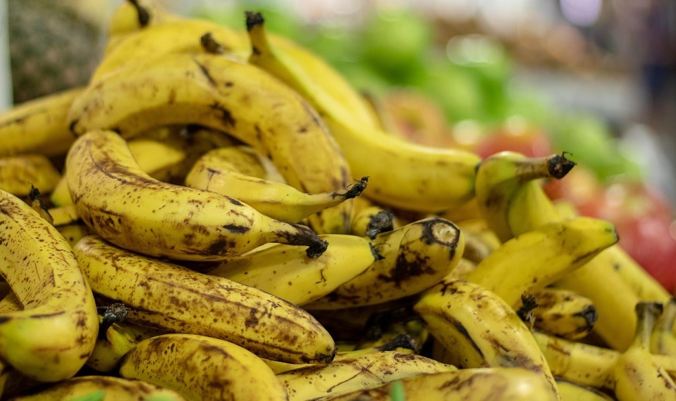 Dürfen Pferde Bananen essen?