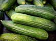 Dürfen Pferde Gurken essen?