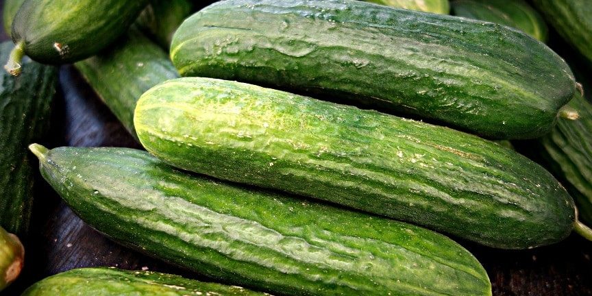 Dürfen Pferde Gurken essen?