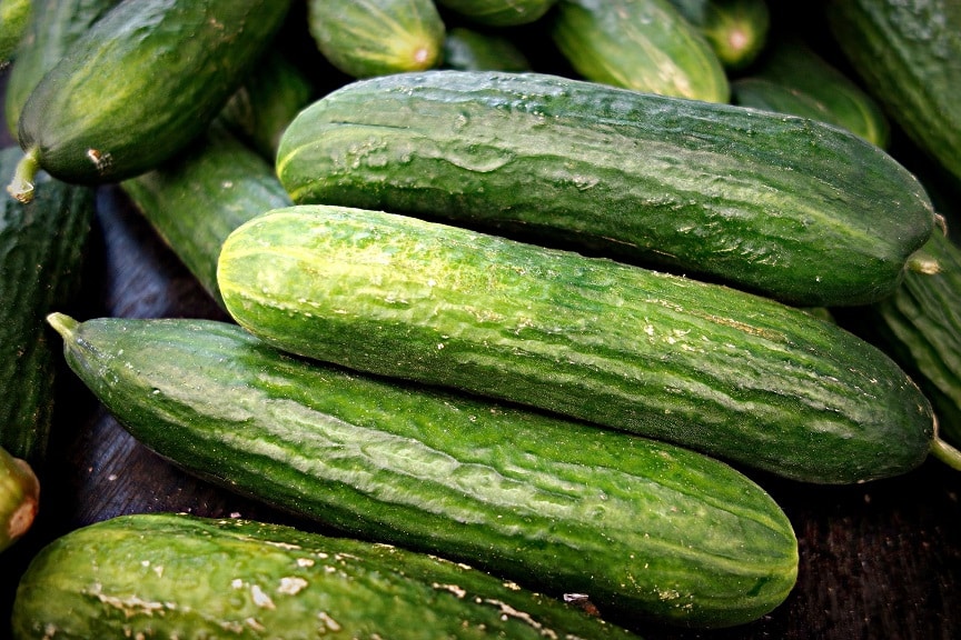 Dürfen Pferde Gurken essen?
