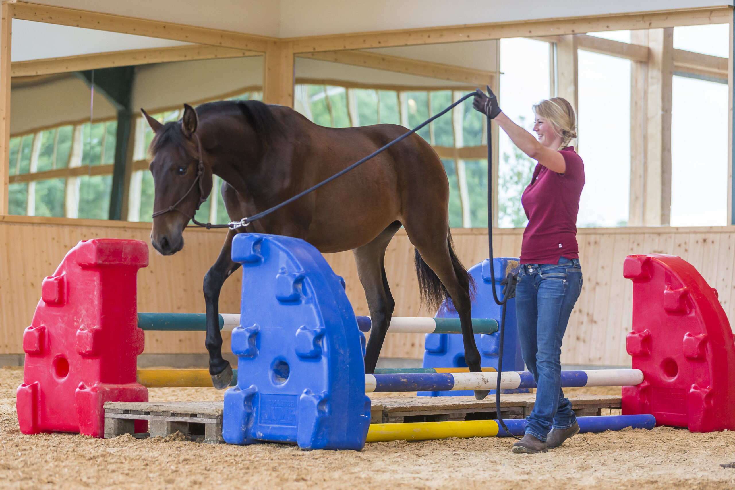 Bodenarbeit mit Pferden – Von A wie Anti-Schreck-Training bis Z wie Zirzensik zu einem zufriedenen Pferd!