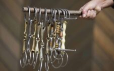 Gebisse für Pferde – Was du über Gebisse und ihre Wirkung wissen musst!