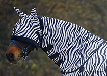 Zebradecken & Masken