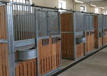 Pferdeboxenfront Dorino