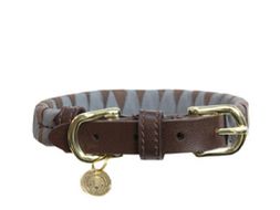 Hundehalsbänder