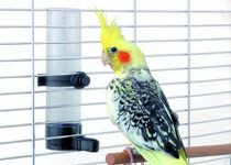 Vogelbedarf