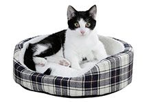 Katzenbetten und -körbe