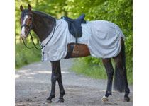 Ausreitdecken