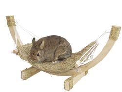 Kaninchen