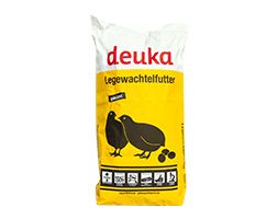 Wachteln