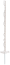 Weiß
