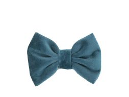 Hundeaccessoires