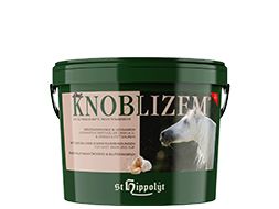Sommerekzem