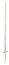 Weiß