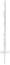 Weiß