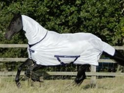 Fly Sheet