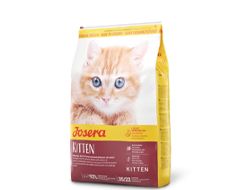 Kittenfutter
