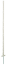 Weiß