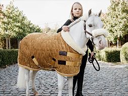 Pony