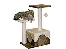 Katzenbedarf