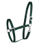 Tannengrün
