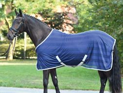 Stalldecken