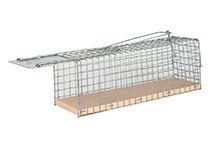 Ratten Lebendfalle