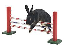 Agility